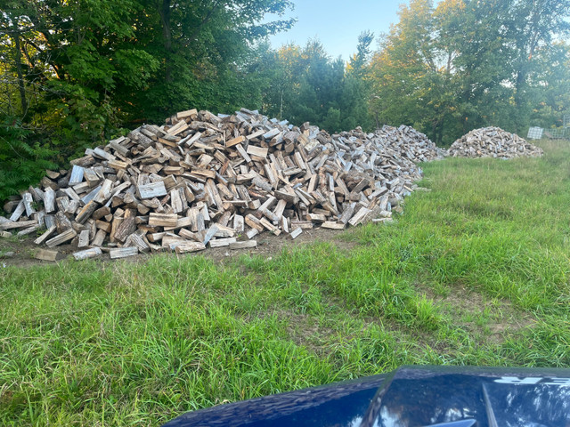Firewood for sale  in Other in Kingston - Image 2
