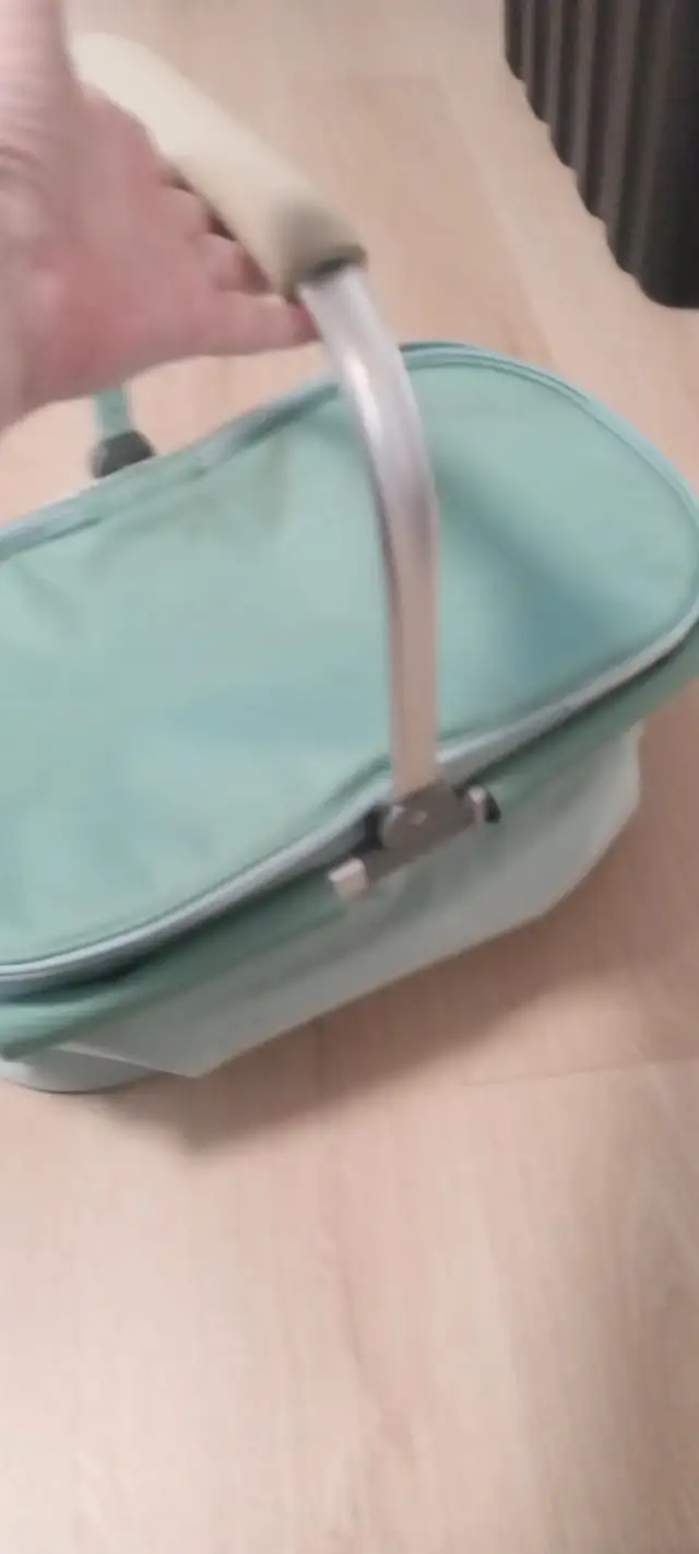 Green Picnic Basket Cooler - Collapsible from Chapters-Indigo62854390363778122
