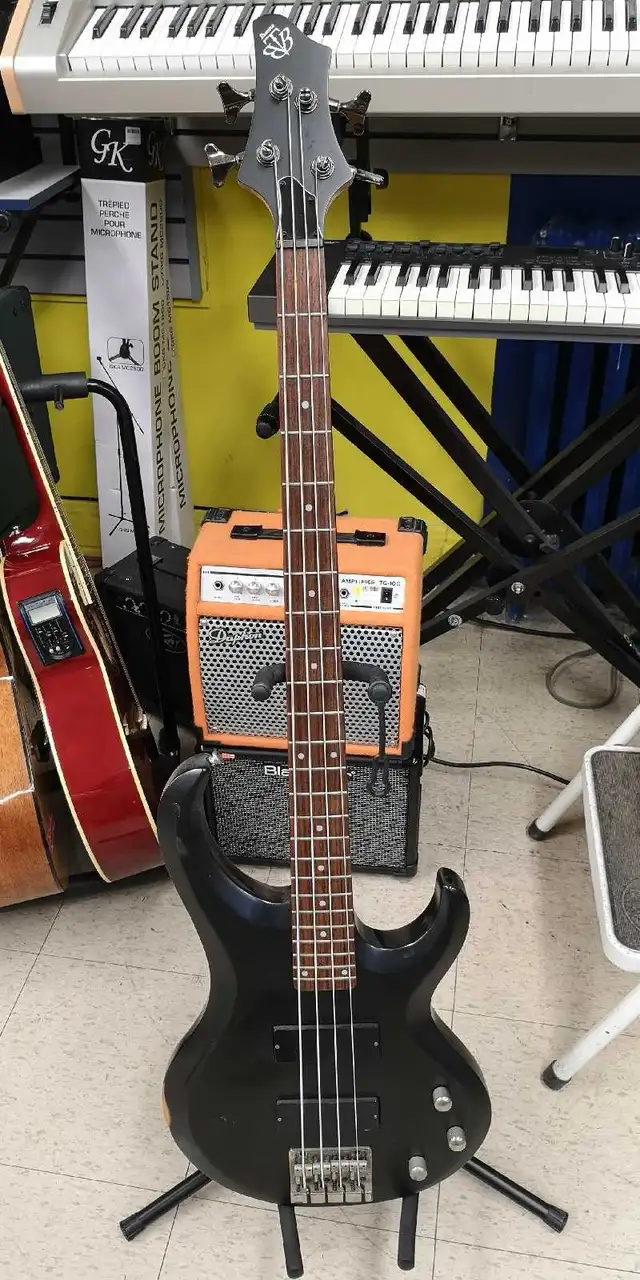 Ibanez Electric Bass