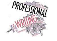 Professional Business plan and Grant writing services