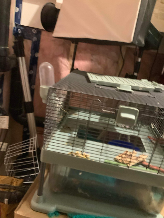 Hamster cage  in Small Animals for Rehoming in Windsor Region