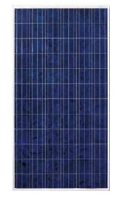 Looking for Canadian Solar CS6P panels - 60 cell poly. Need the 1638x982 dimension. Need 200.