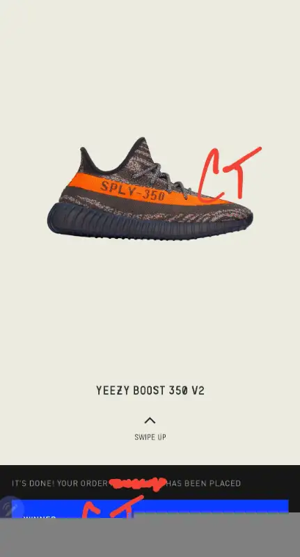 Yeezy 350 V2 Beluga Carbon New sz 12.5 11.5 CONFIRMED ADIDAS in Men's Shoes in Markham / York Region - Image 5