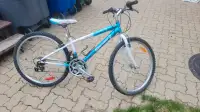 18 inch Avico Mountain Bike 