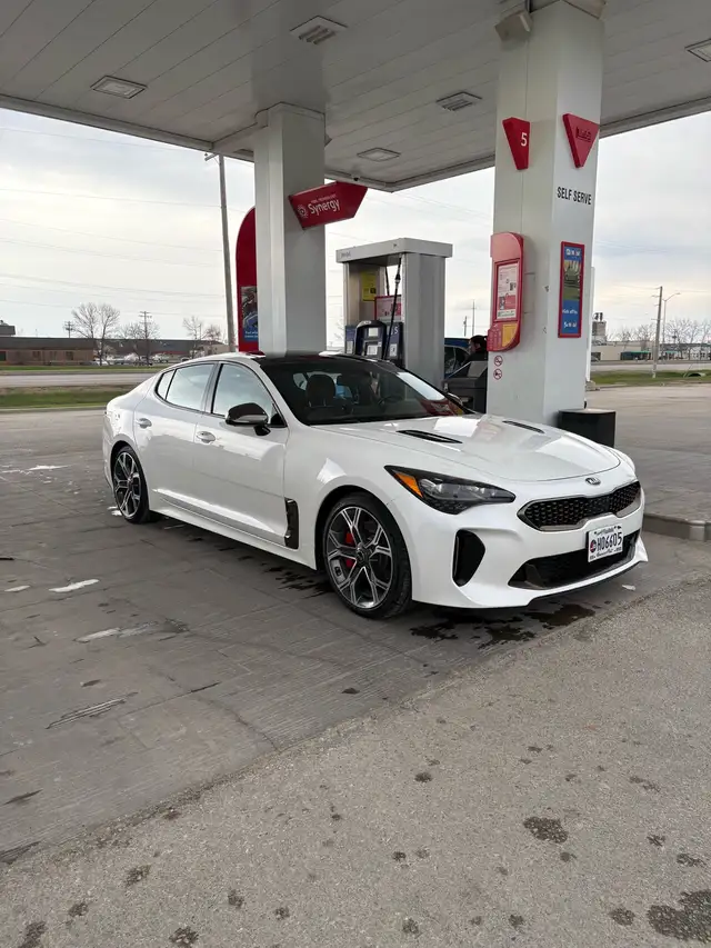 2019 Kia stinger gt2 limited  in Cars & Trucks in Winnipeg - Image 2