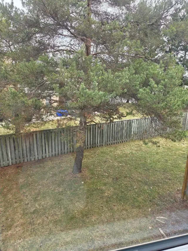 Room For Rent April 01