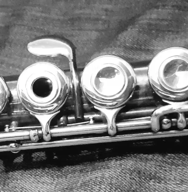 Flute Teacher 