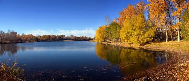 AWESOME LOCATION – BEAUTIFUL, BRIGHT BASEMENT SUITE