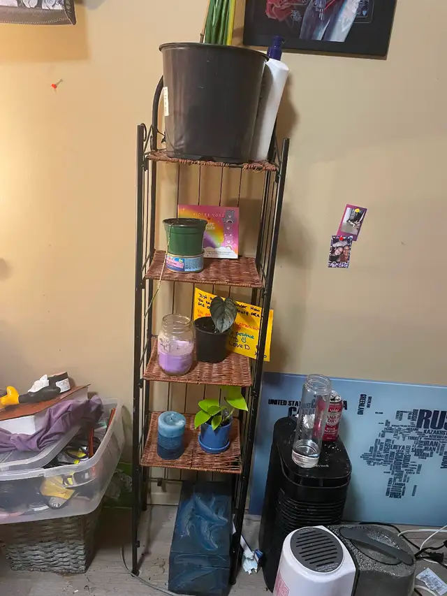 Two plant stands.587820085198213121