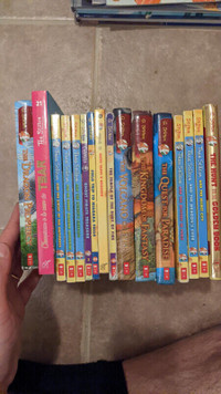 Geronimo Stilton Books