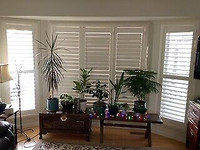 Window Shutters