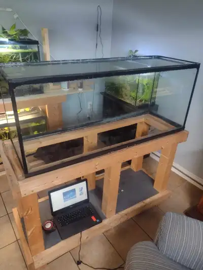 hello I have a 66 gallon tank for a lizard , View more
