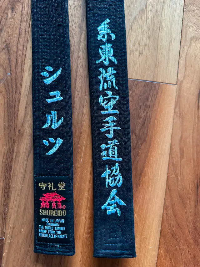 Karate Lessons63611960529537121