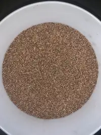 Certified Brandon Seed Wheat for Sale