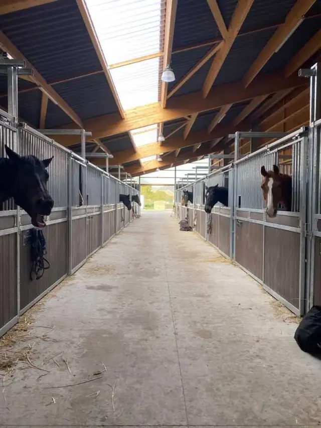 help at a stable/ranch64529144543106120