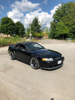 2000 Ford Mustang GT Convertible 