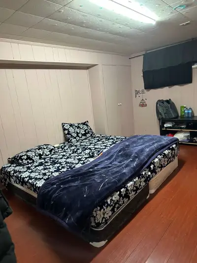 Looking for 2 vegetarian girls in a large basement bedroom. Intersection steels and thorbram.