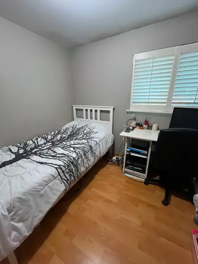 Private room near Humber College/Albion Mall - July 1
