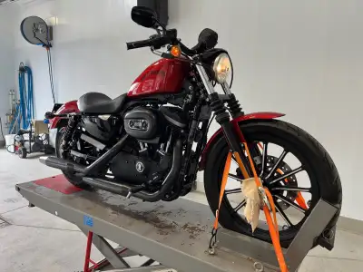 XL 883 acheté 9 juillet 2021 3 448KM lors de l'achat porte baggage