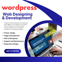 Design and build websites using the WordPress platform.