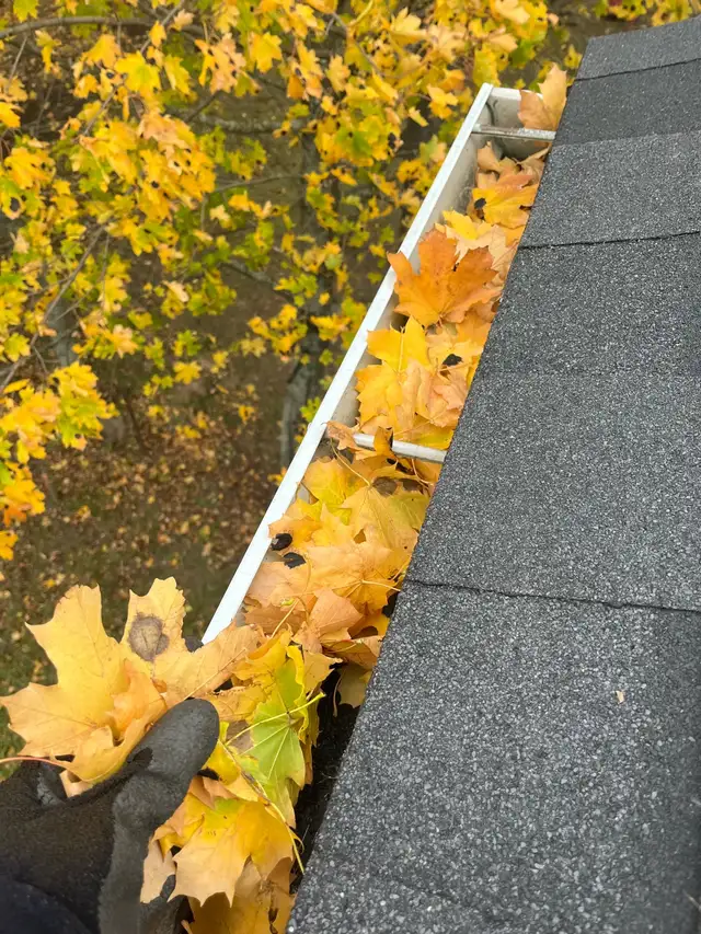 Gutter/ Evetrough Cleaning Moncton593703616550031362