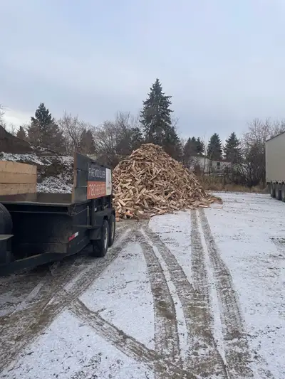 Birch and tamarack firewood for sale all winter long! Amazing pricing for our premium Alberta birch...