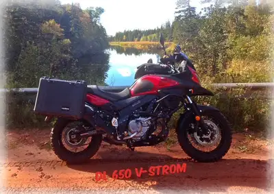 Senior rider selling DL 650 Adventure model V-Strom bought new in 2015: Asking $6200 OBO. Maintenanc...