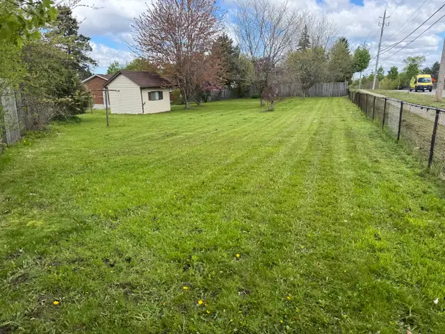 Grass Cutting529384748247296002