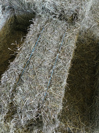 Small square hay bales - Bottom Bales