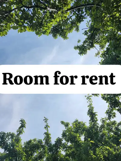 Room for rent sharing with boys near Humber college and Malton