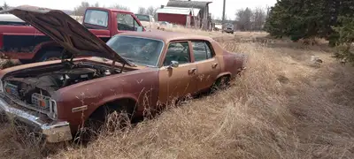 PARTING OUT 74 NOVA 4 DR SEDAN AND 250 INLINE 6, RUNS WELL CAN SEND VIDEO OF RUNNING TEXT IS BEST