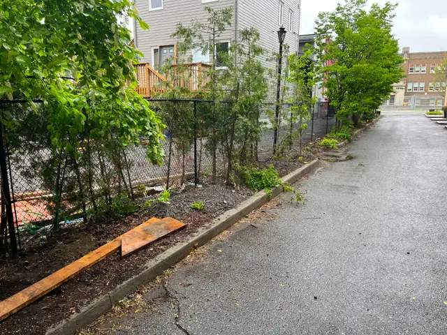 Professional Chain Link Fence Installation in Fence, Deck, Railing & Siding in Ottawa - Image 7