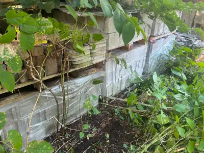 Around 200 New Concrete Blocks 8x8x16 + ~30 Used Clean Blocks, View more