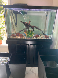 Large Aquarium Fish tank n Stand