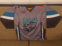 Storm hockey jerseyMintYouth medium (10-12)$10