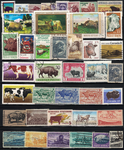 Cow, Bison, Buffalo Animal Stamps, 35 Different, View more