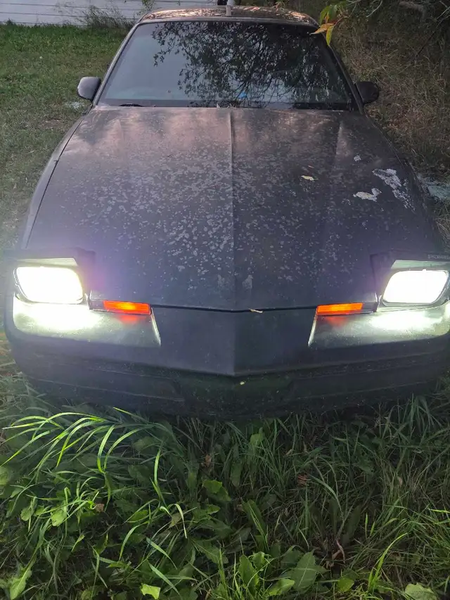 1985 Firebird 478192039258368000