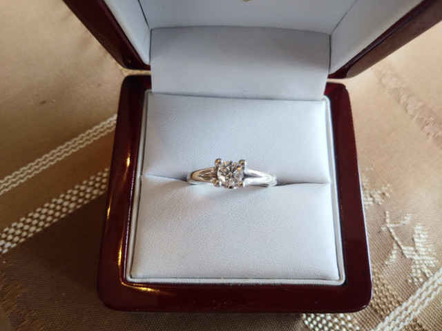 Polar Ice Lady's 14kt. White Gold Bezel Set Engagement Ring in Jewellery & Watches in Regina