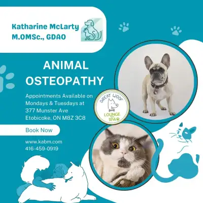 Animal osteopathy is a holistic approach to whole body health and musculoskeletal issues through non...