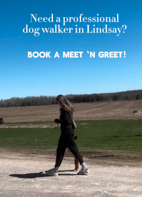 Dog walker in Lindsay in Animal & Pet Services in Kawartha Lakes - Image 2