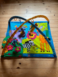 Baby Playmat