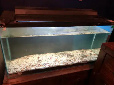 30gal tank with soil substrate 