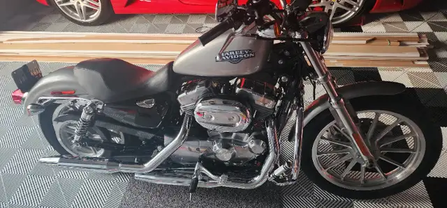 2008 Harley-Davidson 883 sportster XXL in Street, Cruisers & Choppers in Markham / York Region - Image 4