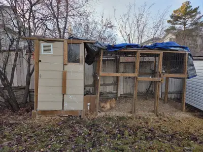 If the ad is up, it’s available. Selling our complete backyard chicken coop + run setup as we’re no...