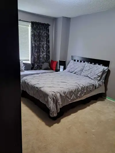 Looking for a professional working muslim male roomate. Room for rent in a spacious and clean Brampt...