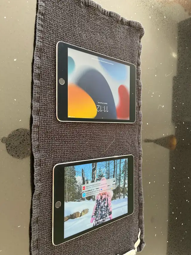 2 Apple Ipad mini 4 128gb in iPads & Tablets in Laurentides - Image 4