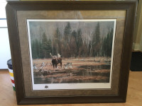 Monarch of the North By Trevor Tennant Moose Print