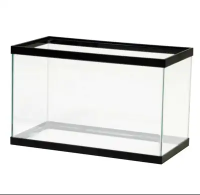 10 gallon aquarium, View more