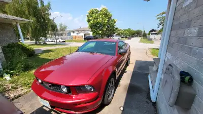 $17,500 obo For sale is my cool 2005 Ford Mustang gt with super low km like new , a stylish and spor...