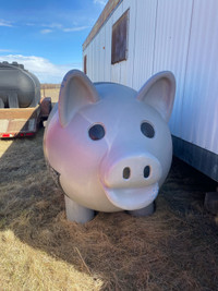 Big Plastic Pig